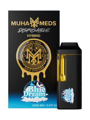 BLUE DREAM – HYBRID BLUE DREAM – HYBRID